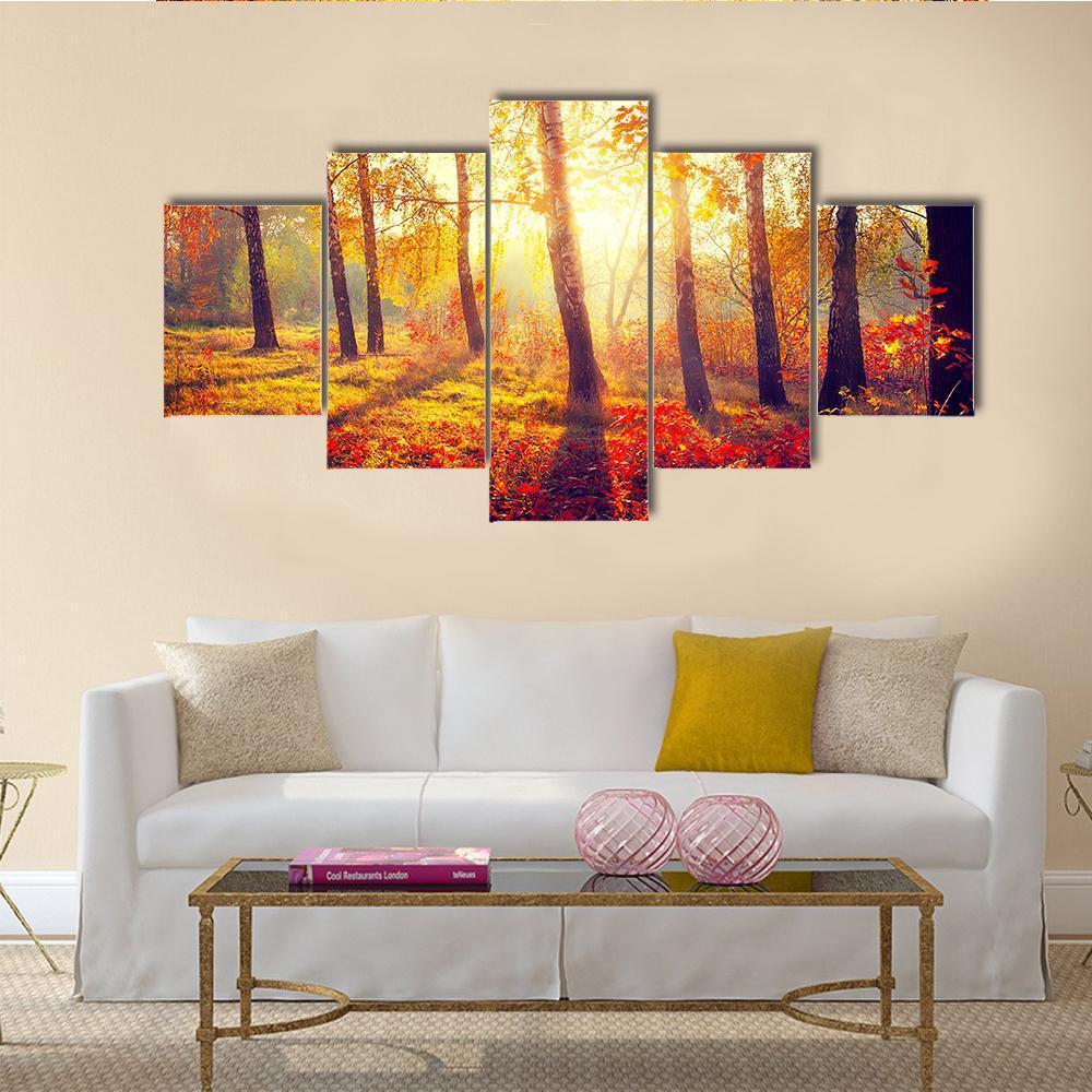 Autumnal Trees In Sun Rays Canvas Wall Art-5 Pop-Gallery Wrap-47" x 32"-Tiaracle