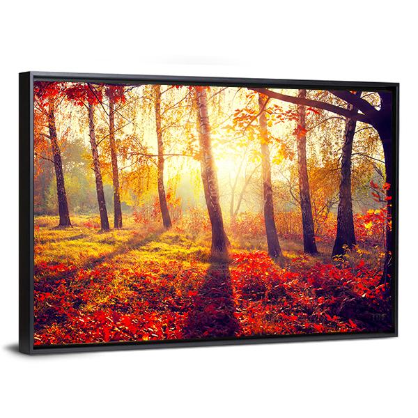 Autumnal Trees In Sun Rays Canvas Wall Art-3 Horizontal-Gallery Wrap-25&quot; x 16&quot;-Tiaracle