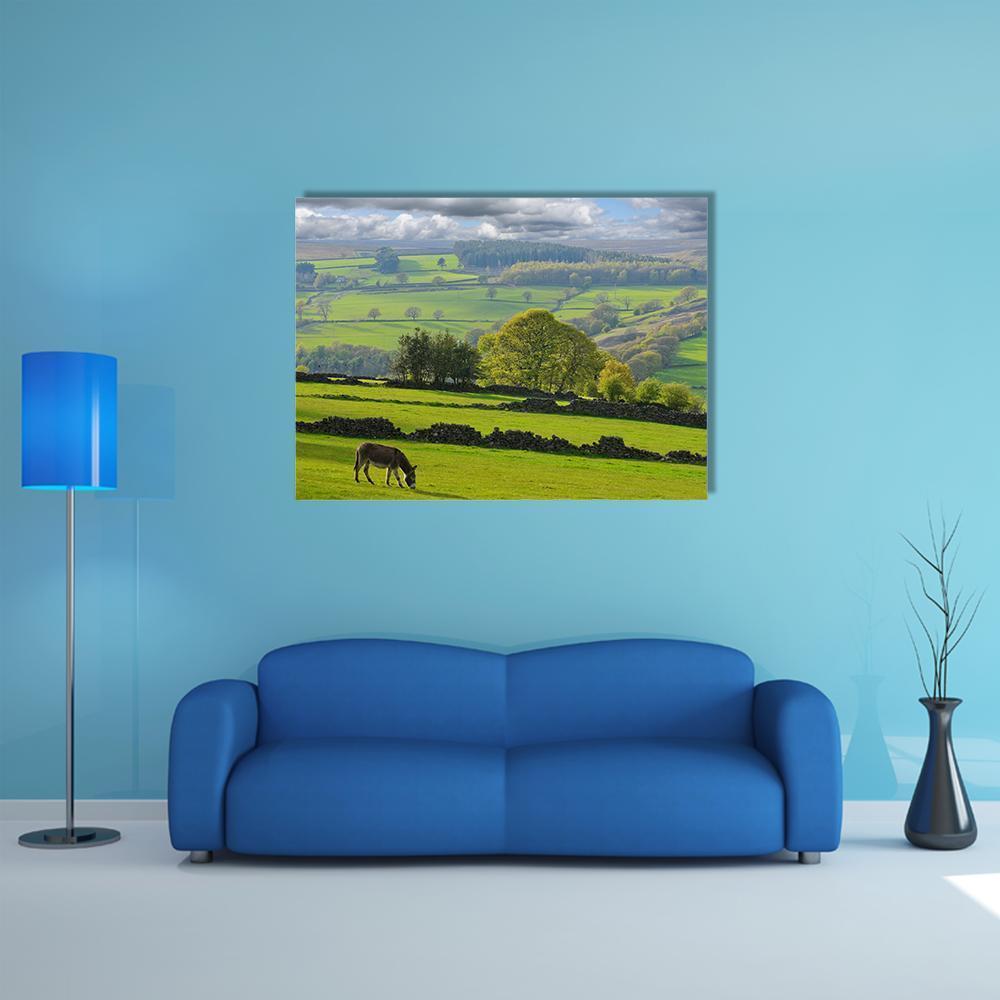 Baby Donkey Grazing in Pasture Canvas Wall Art in gray, green and blue, single panel hung on a wall