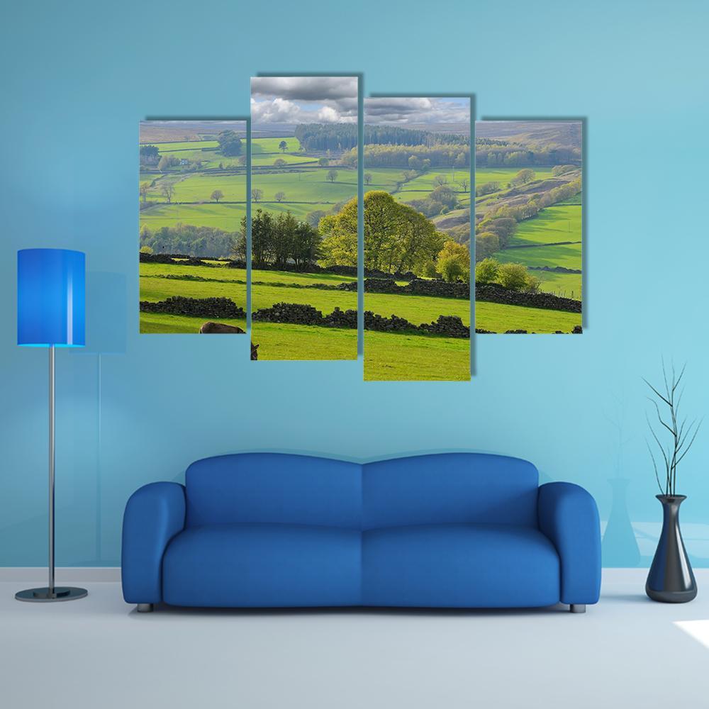 Baby Donkey In Bradfield Canvas Wall Art-4 Pop-Gallery Wrap-50" x 32"-Tiaracle