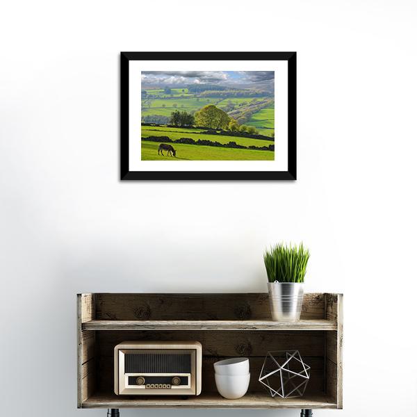 Baby Donkey In Bradfield Canvas Wall Art-1 Piece-Framed Print-20" x 16"-Tiaracle