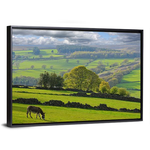 Baby Donkey In Bradfield Canvas Wall Art-3 Horizontal-Gallery Wrap-25" x 16"-Tiaracle