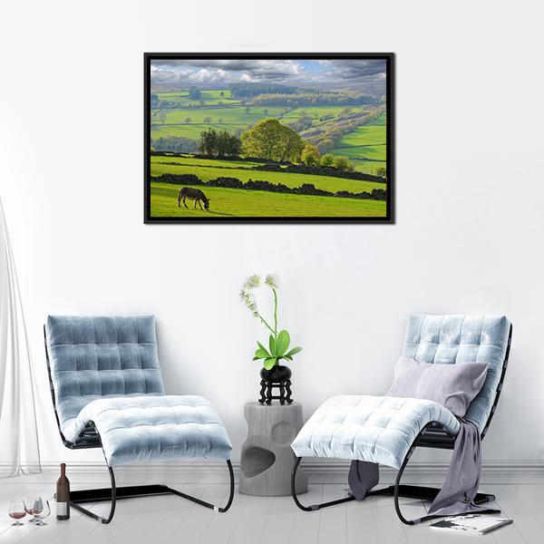 Baby Donkey In Bradfield Canvas Wall Art-3 Horizontal-Gallery Wrap-25" x 16"-Tiaracle