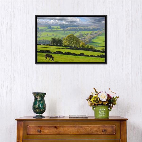 Baby Donkey In Bradfield Canvas Wall Art-1 Piece-Floating Frame-24" x 16"-Tiaracle