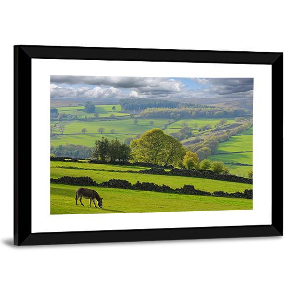 Baby Donkey In Bradfield Canvas Wall Art-3 Horizontal-Gallery Wrap-25" x 16"-Tiaracle