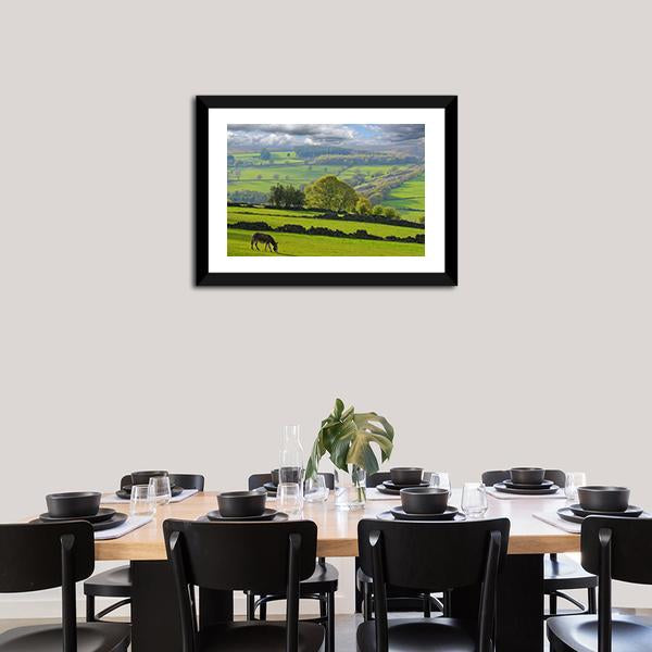 Baby Donkey In Bradfield Canvas Wall Art-3 Horizontal-Gallery Wrap-25" x 16"-Tiaracle