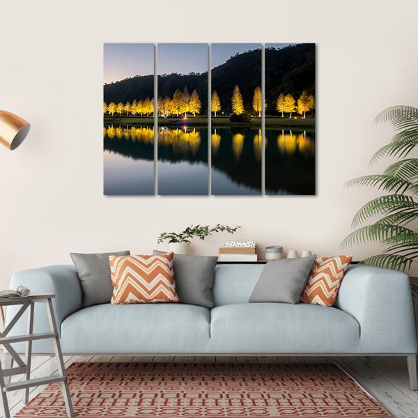 Bald Cypress Trees At Night Canvas Wall Art-4 Horizontal-Gallery Wrap-34" x 24"-Tiaracle