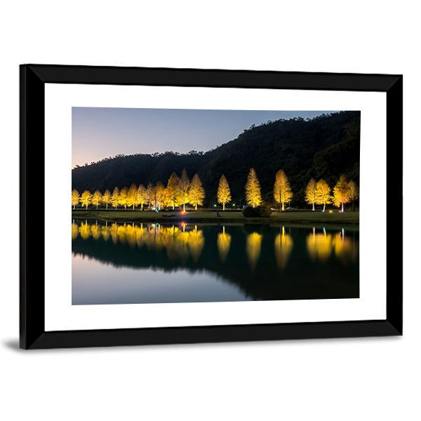 Bald Cypress Trees At Night Canvas Wall Art-5 Horizontal-Gallery Wrap-22" x 12"-Tiaracle