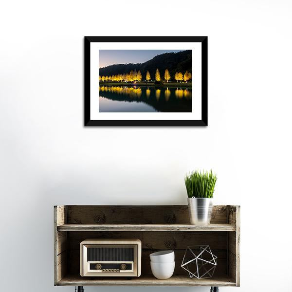 Bald Cypress Trees At Night Panoramic Canvas Wall Art-1 Piece-36" x 12"-Tiaracle