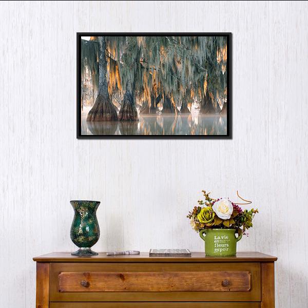 Bald Cypress Trees Canvas Wall Art-1 Piece-Floating Frame-24" x 16"-Tiaracle