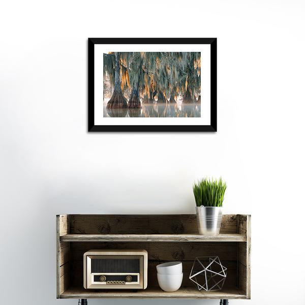 Bald Cypress Trees Canvas Wall Art-1 Piece-Framed Print-20" x 16"-Tiaracle