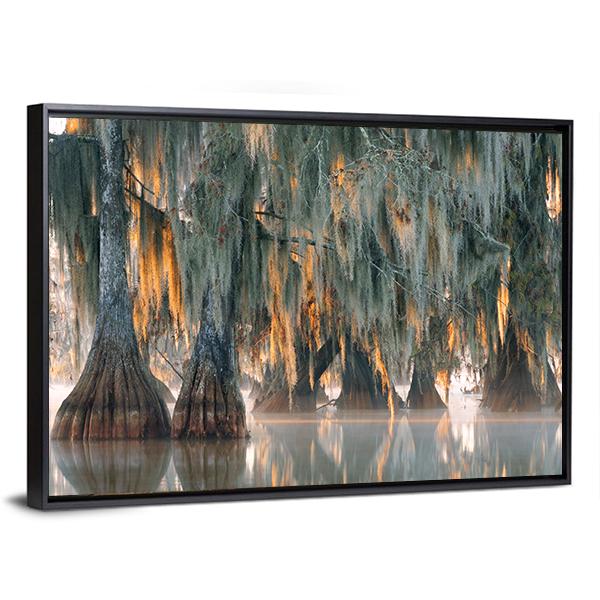 Bald Cypress Trees Canvas Wall Art-5 Horizontal-Gallery Wrap-22" x 12"-Tiaracle