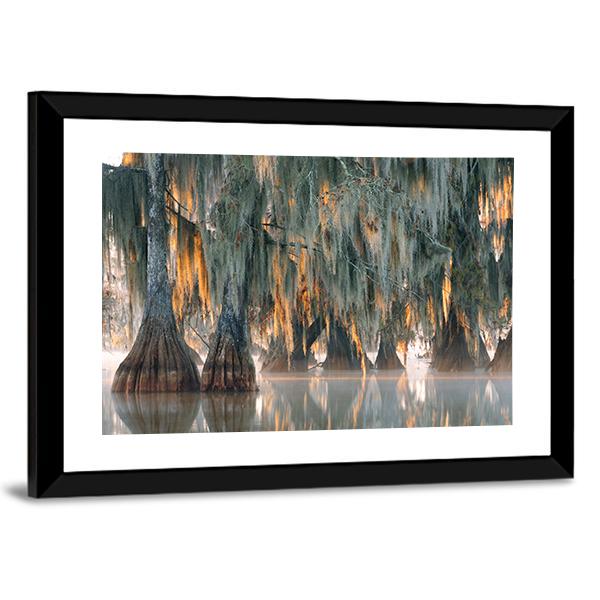 Bald Cypress Trees Canvas Wall Art-5 Horizontal-Gallery Wrap-22" x 12"-Tiaracle