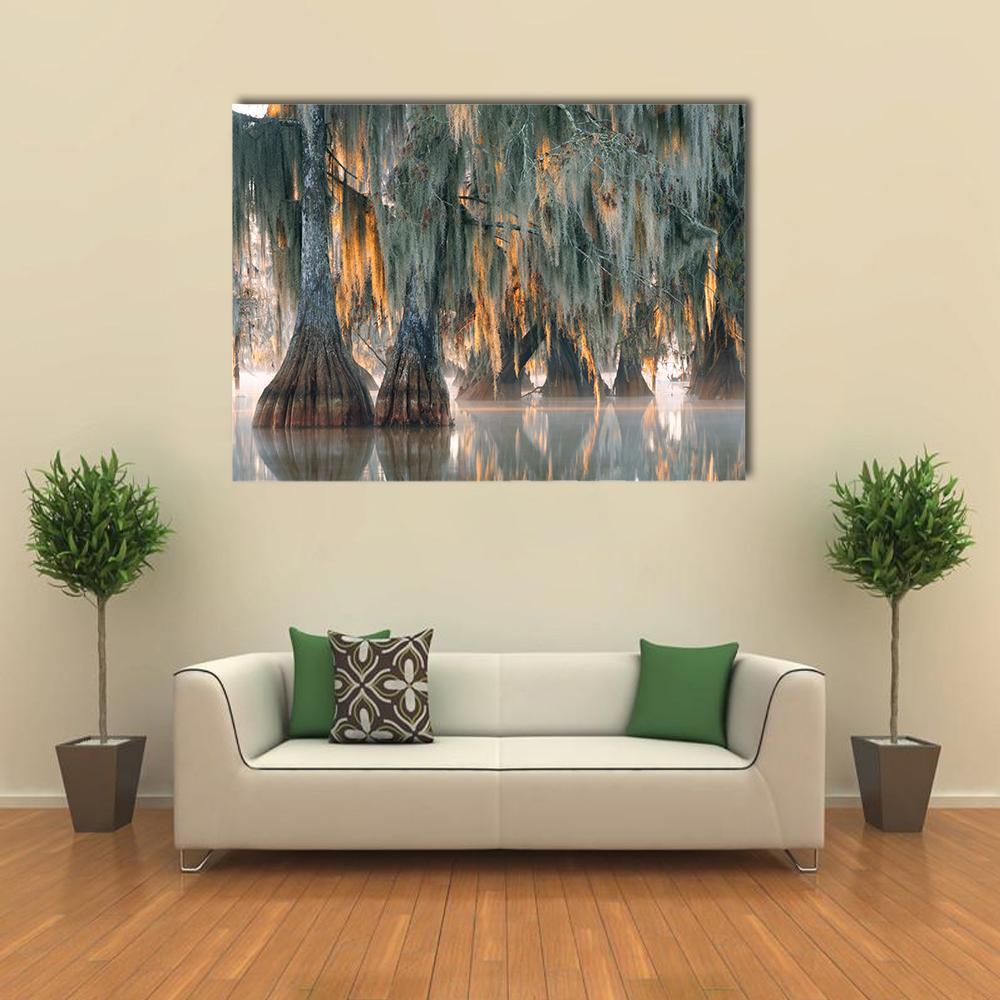 Bald Cypress Trees Canvas Wall Art-1 Piece-Gallery Wrap-36" x 24"-Tiaracle