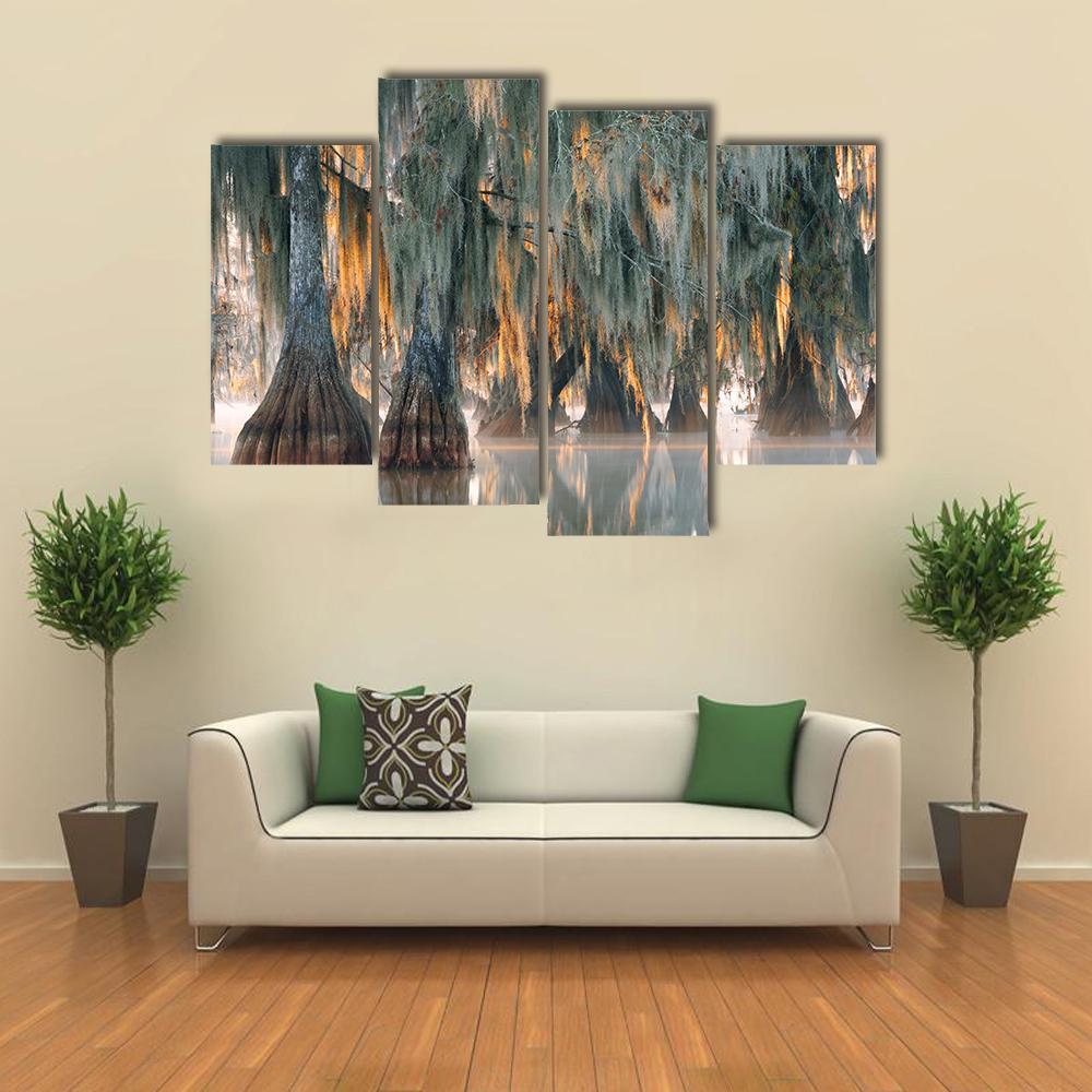 Bald Cypress Trees Canvas Wall Art-4 Pop-Gallery Wrap-34" x 20"-Tiaracle