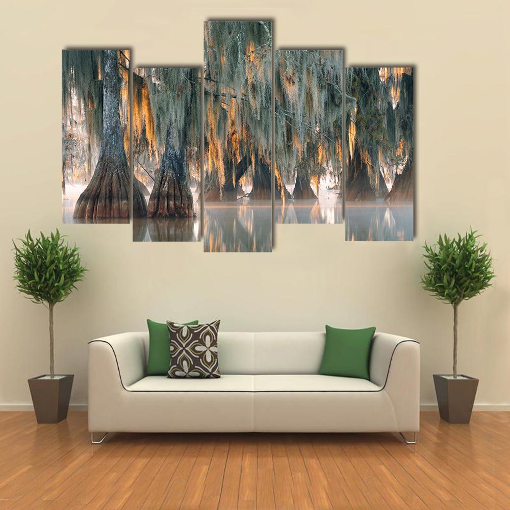 Bald Cypress Trees Canvas Wall Art-5 Pop-Gallery Wrap-32" x 21"-Tiaracle