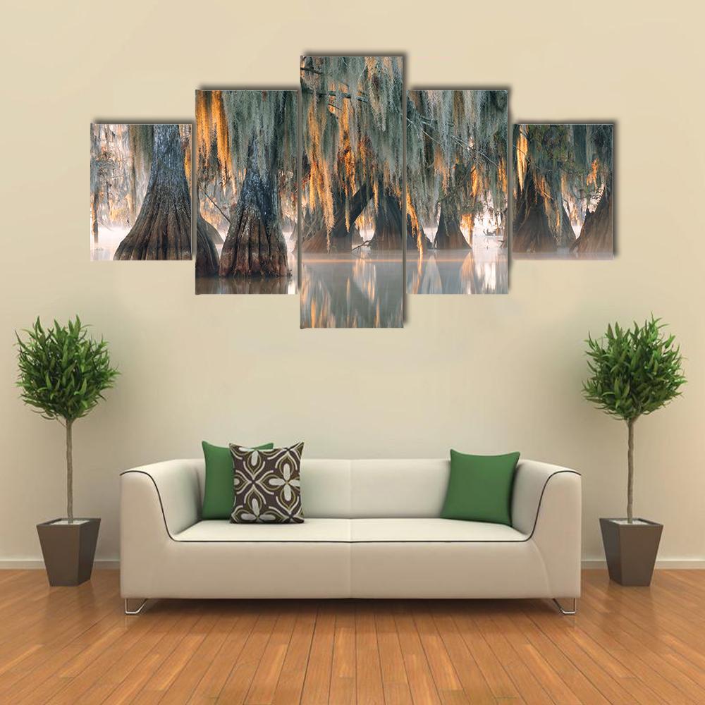 Bald Cypress Trees Canvas Wall Art-5 Star-Gallery Wrap-42" x 21"-Tiaracle