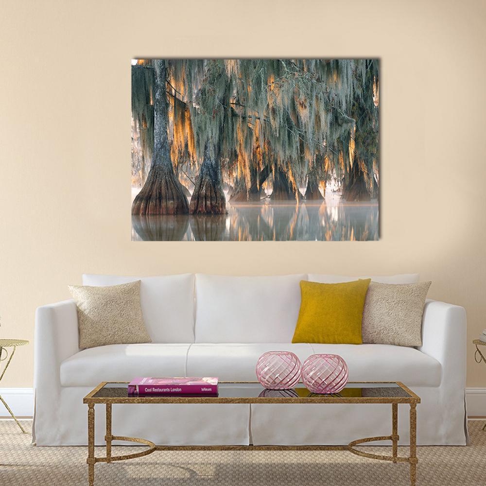 Bald Cypress Trees Canvas Wall Art-1 Piece-Gallery Wrap-36" x 24"-Tiaracle