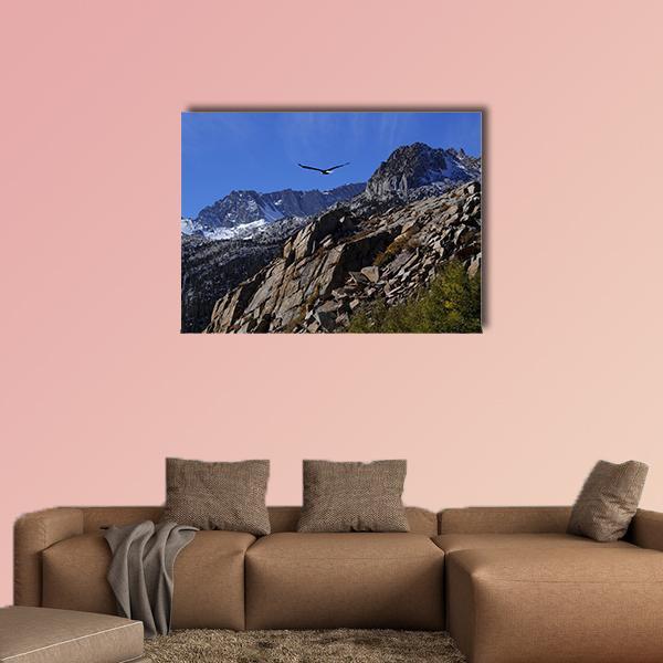 Bald Eagle Soaring Over Rocky Peaks Canvas Wall Art-1 Piece-Gallery Wrap-48" x 32"-Tiaracle