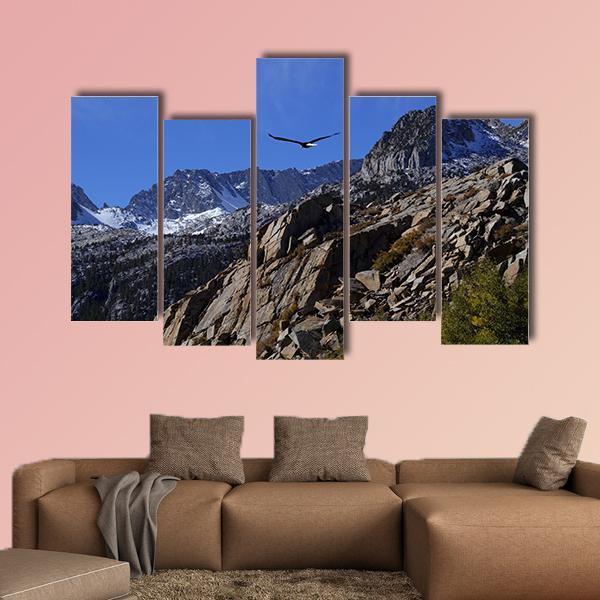 Bald Eagle Soaring Over Rocky Peaks Canvas Wall Art-5 Pop-Gallery Wrap-47" x 32"-Tiaracle