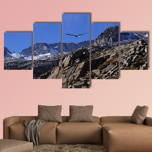 Bald Eagle Soaring Over Rocky Peaks Canvas Wall Art-5 Star-Gallery Wrap-62" x 32"-Tiaracle