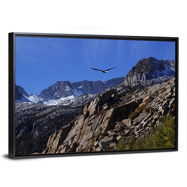 Bald Eagle Soaring Over Rocky Peaks Canvas Wall Art-3 Horizontal-Gallery Wrap-25" x 16"-Tiaracle