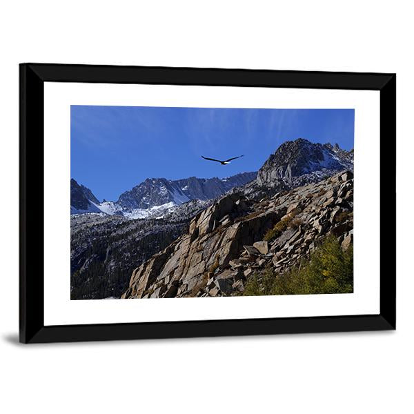 Bald Eagle Soaring Over Rocky Peaks Canvas Wall Art-3 Horizontal-Gallery Wrap-25" x 16"-Tiaracle