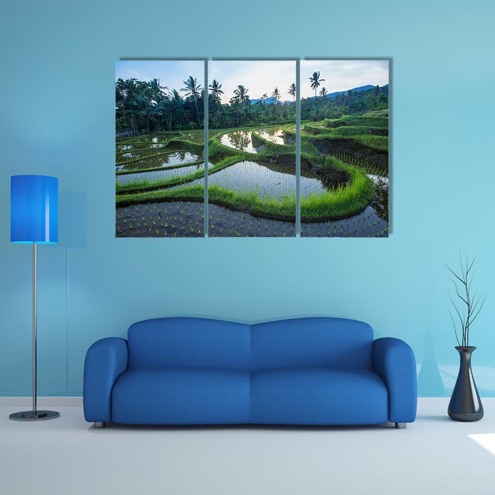 Bali Rice Terraces Canvas Wall Art-3 Horizontal-Gallery Wrap-37" x 24"-Tiaracle