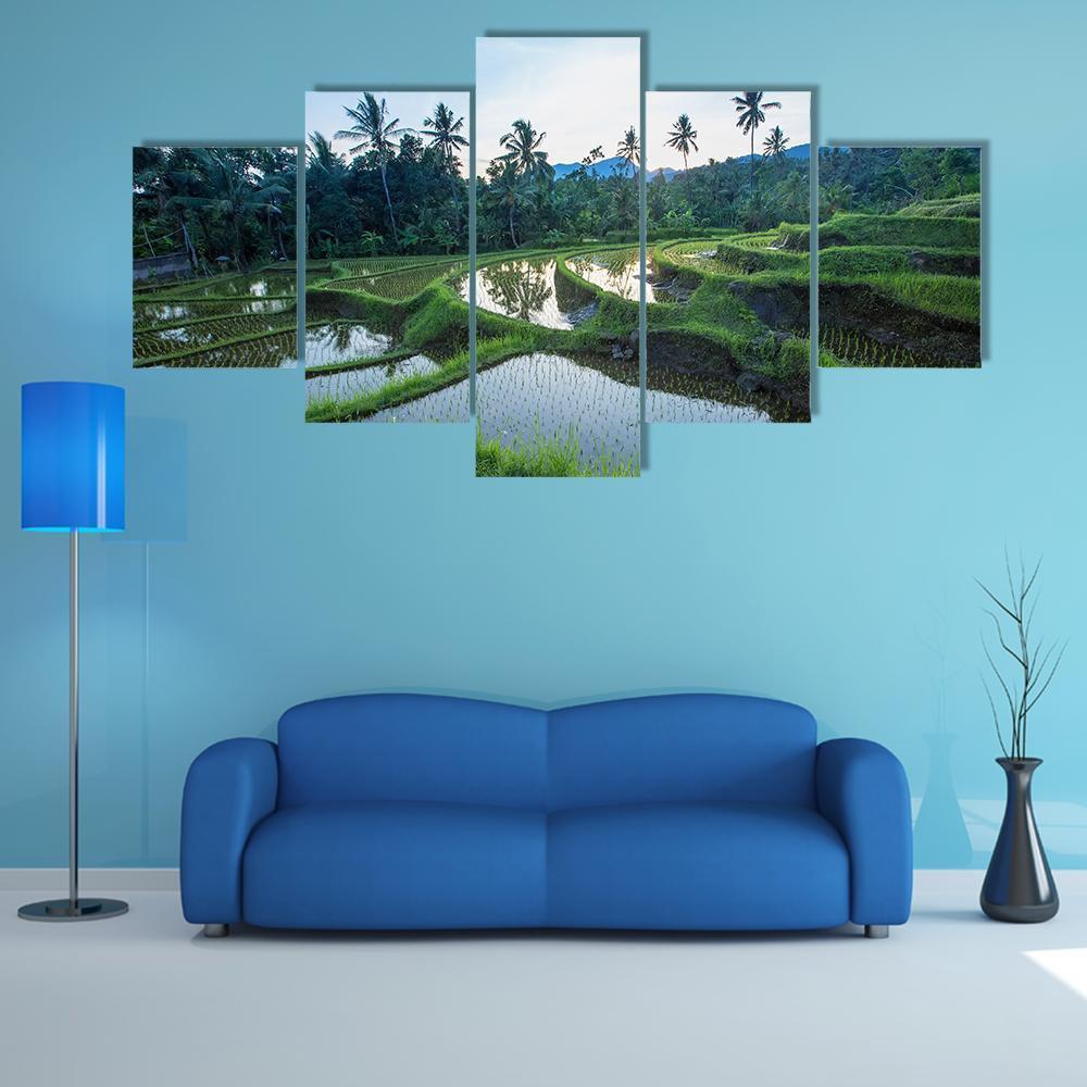 Bali Rice Terraces Canvas Wall Art in green and blue, 5 panel Star layout hung on a wall