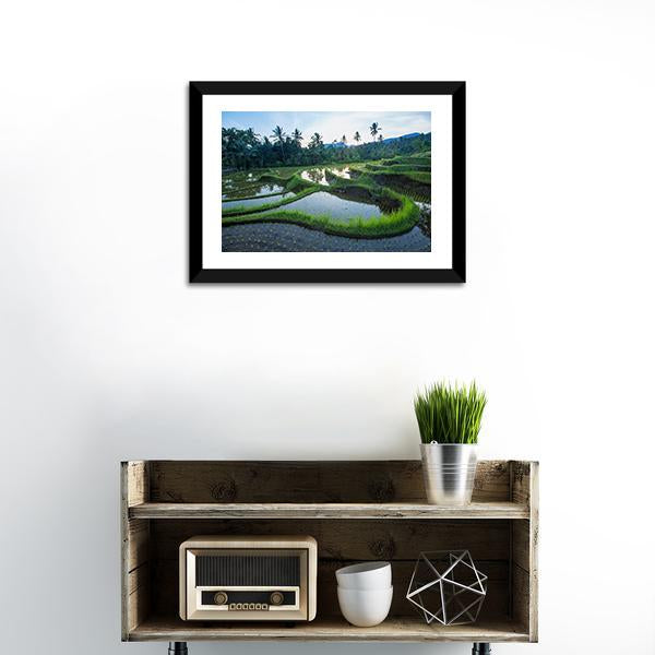 Bali Rice Terraces Canvas Wall Art-1 Piece-Framed Print-20" x 16"-Tiaracle