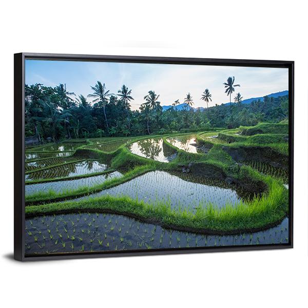 Bali Rice Terraces Canvas Wall Art-3 Horizontal-Gallery Wrap-25" x 16"-Tiaracle