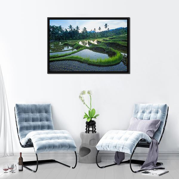 Bali Rice Terraces Canvas Wall Art-3 Horizontal-Gallery Wrap-25" x 16"-Tiaracle