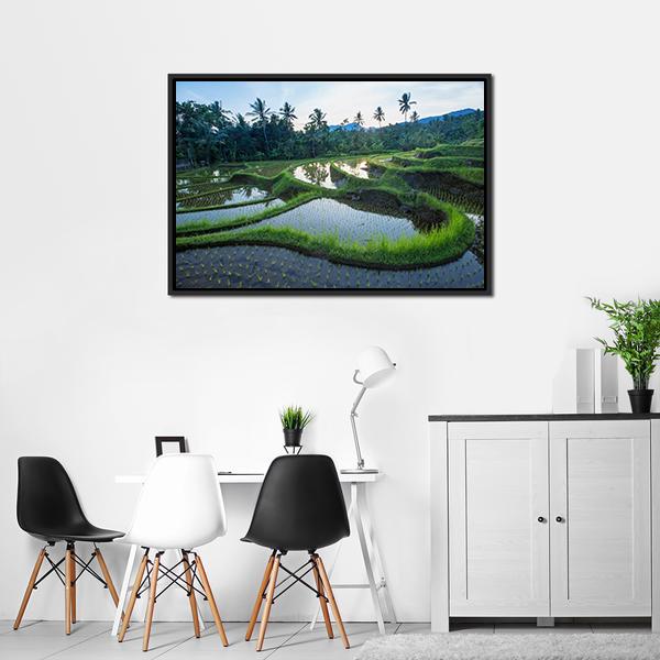 Bali Rice Terraces Canvas Wall Art-3 Horizontal-Gallery Wrap-25" x 16"-Tiaracle