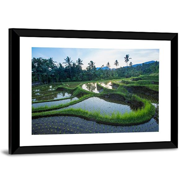 Bali Rice Terraces Canvas Wall Art-3 Horizontal-Gallery Wrap-25" x 16"-Tiaracle