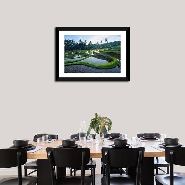 Bali Rice Terraces Canvas Wall Art-3 Horizontal-Gallery Wrap-25" x 16"-Tiaracle