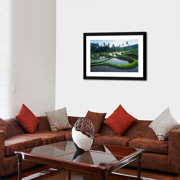 Bali Rice Terraces Canvas Wall Art-3 Horizontal-Gallery Wrap-25" x 16"-Tiaracle