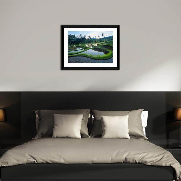 Bali Rice Terraces Canvas Wall Art-3 Horizontal-Gallery Wrap-25" x 16"-Tiaracle