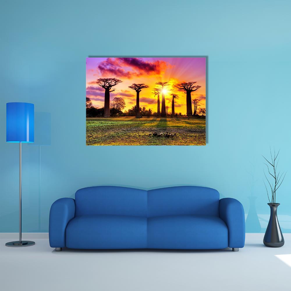 Baobab Trees at Sunset Canvas Wall Art in orange, yellow and purple, single panel hung on a wall