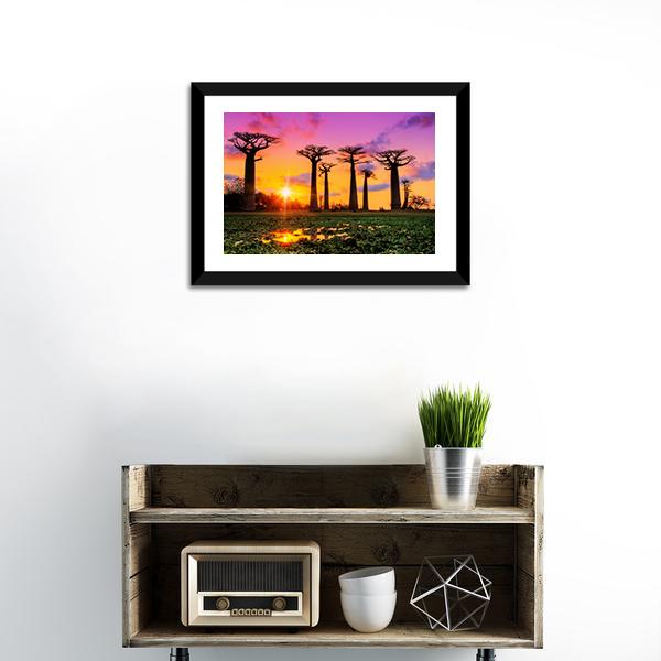Baobab Trees At Sunset Canvas Wall Art-1 Piece-Framed Print-20" x 16"-Tiaracle