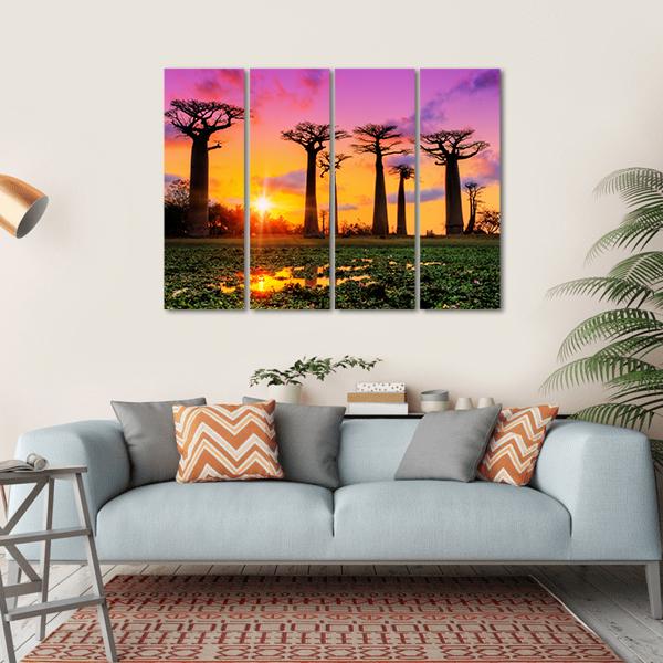 Baobab Trees At Sunset Canvas Wall Art-4 Horizontal-Gallery Wrap-34" x 24"-Tiaracle