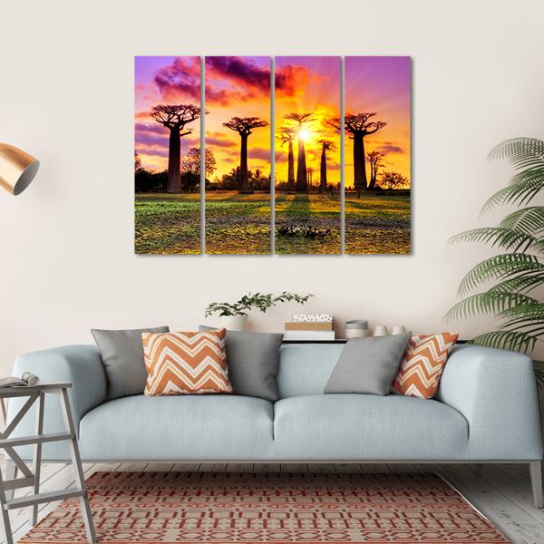 Baobab Trees At Sunset Canvas Wall Art-4 Horizontal-Gallery Wrap-34" x 24"-Tiaracle