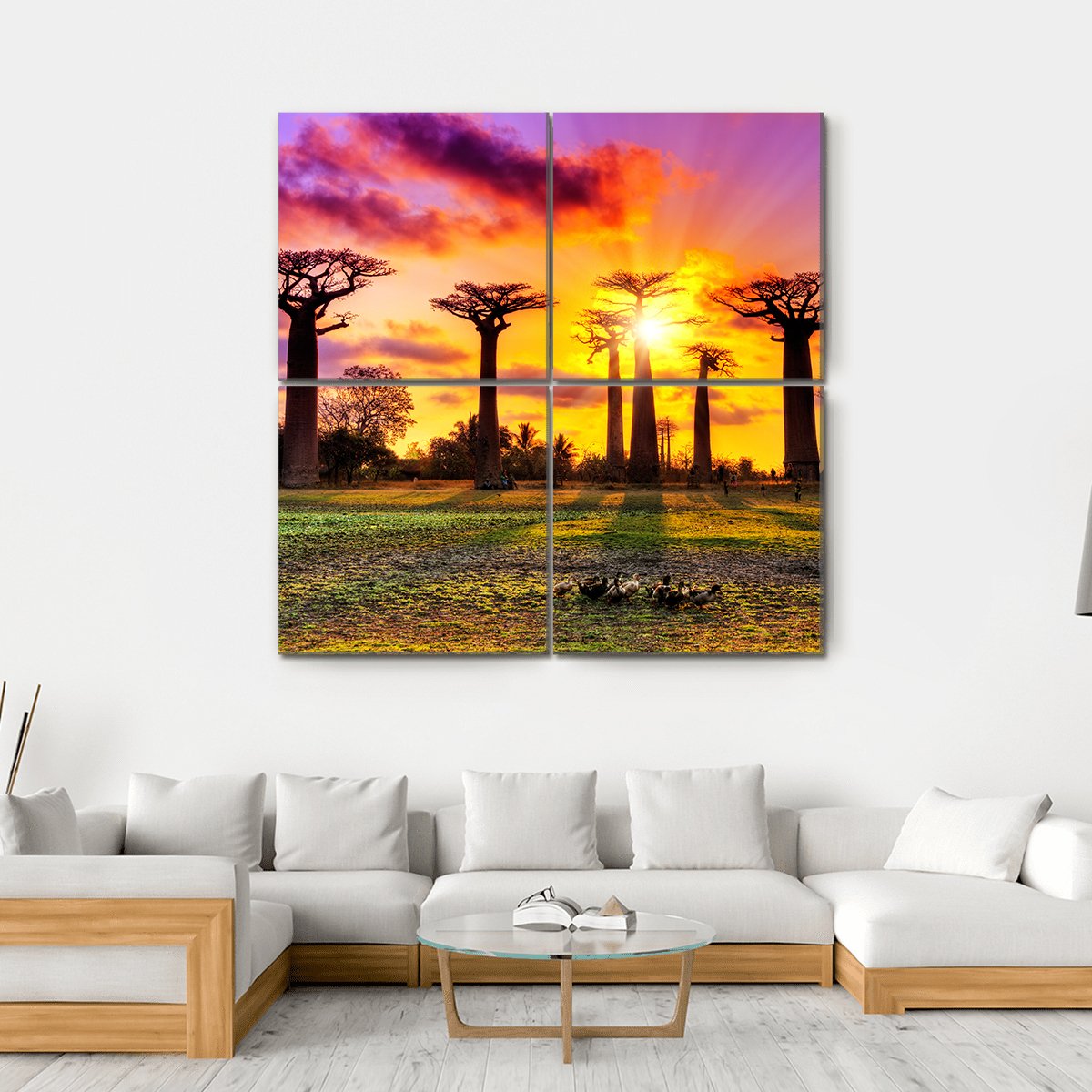 Baobab Trees At Sunset Canvas Wall Art-4 Square-Gallery Wrap-17" x 17"-Tiaracle