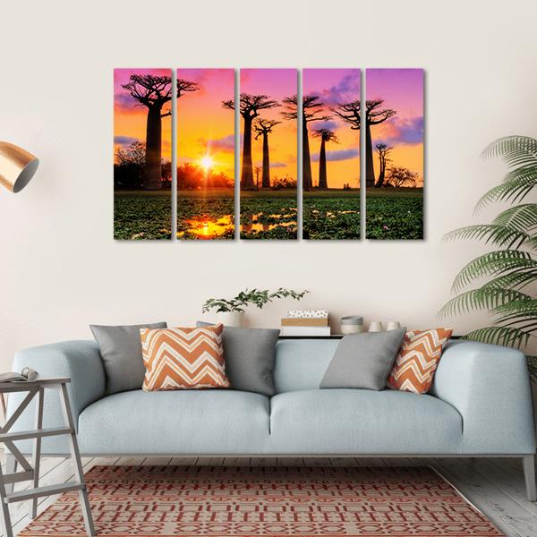 Baobab Trees At Sunset Canvas Wall Art-5 Horizontal-Gallery Wrap-22" x 12"-Tiaracle