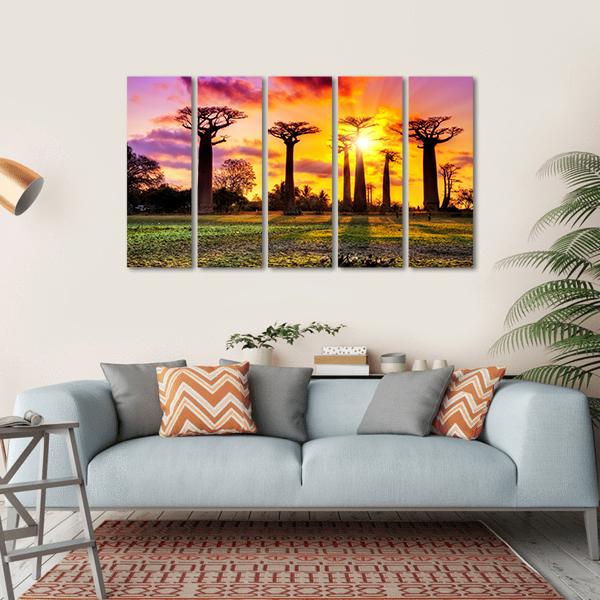 Baobab Trees At Sunset Canvas Wall Art-5 Horizontal-Gallery Wrap-22" x 12"-Tiaracle