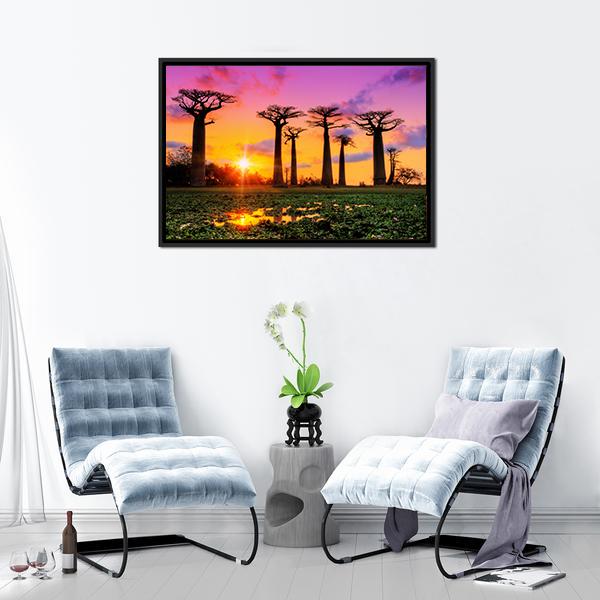 Baobab Trees At Sunset Canvas Wall Art-3 Horizontal-Gallery Wrap-25" x 16"-Tiaracle