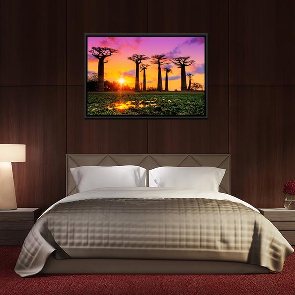 Baobab Trees At Sunset Canvas Wall Art-5 Horizontal-Gallery Wrap-22" x 12"-Tiaracle