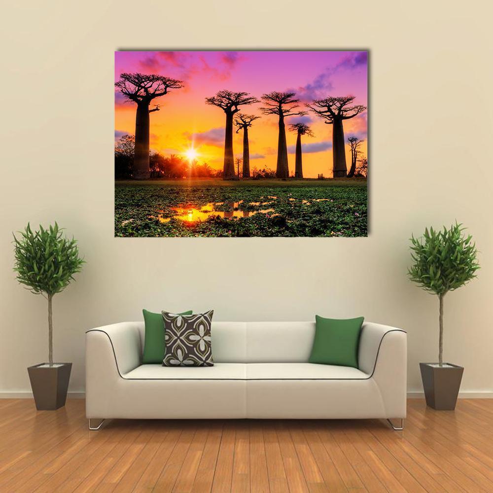 Baobab Trees at Sunset Canvas Wall Art in orange, yellow and purple, single panel hung on a wall