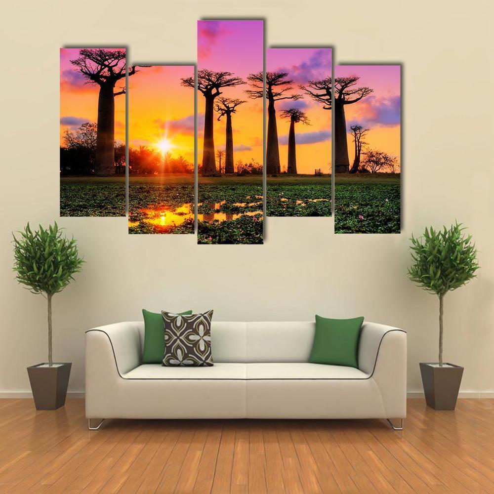 Baobab Trees At Sunset Canvas Wall Art-5 Pop-Gallery Wrap-47" x 32"-Tiaracle