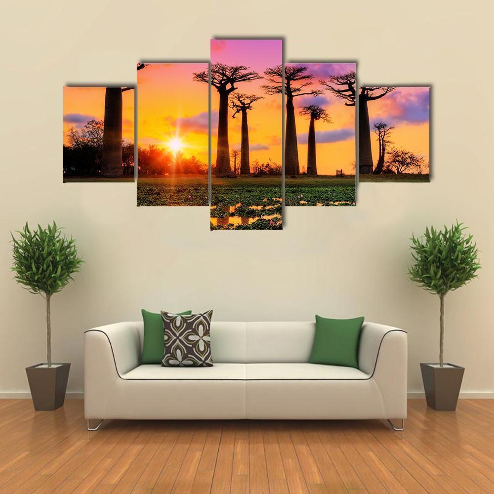 Baobab Trees At Sunset Canvas Wall Art-5 Star-Gallery Wrap-62" x 32"-Tiaracle