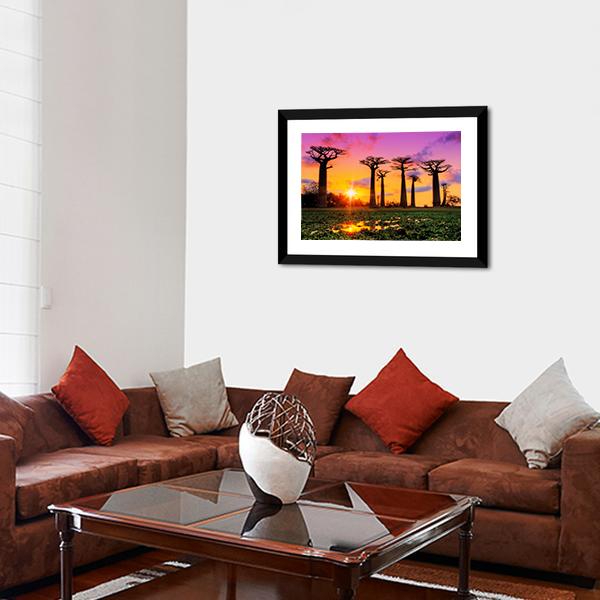 Baobab Trees At Sunset Panoramic Canvas Wall Art-1 Piece-36" x 12"-Tiaracle